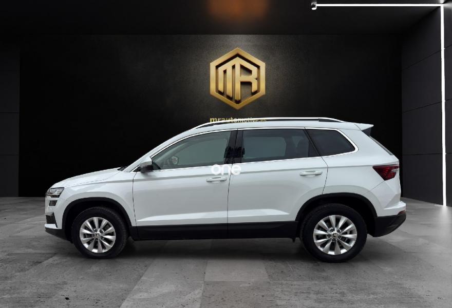 SKODA Karoq 2024